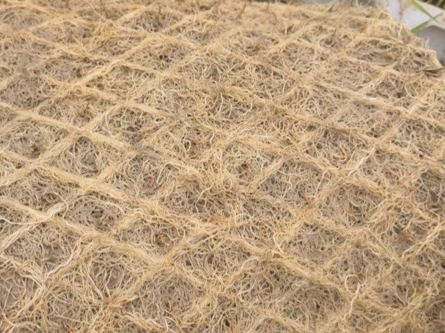 黃山葉面肥硅肥供應商 無錫信佳宜生物科技供應