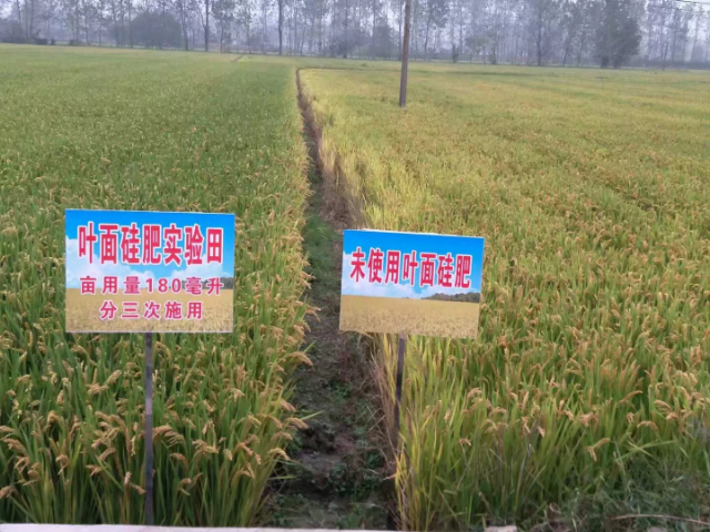 大慶中量元素硅肥