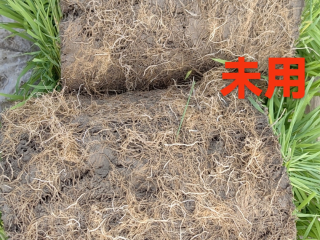 淮南中量元素硅肥批發(fā) 無錫信佳宜生物科技供應