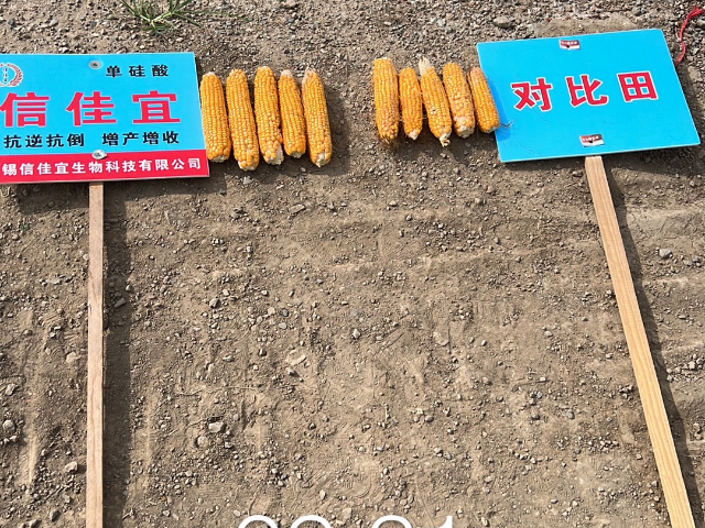 淮北葉面肥硅肥批發