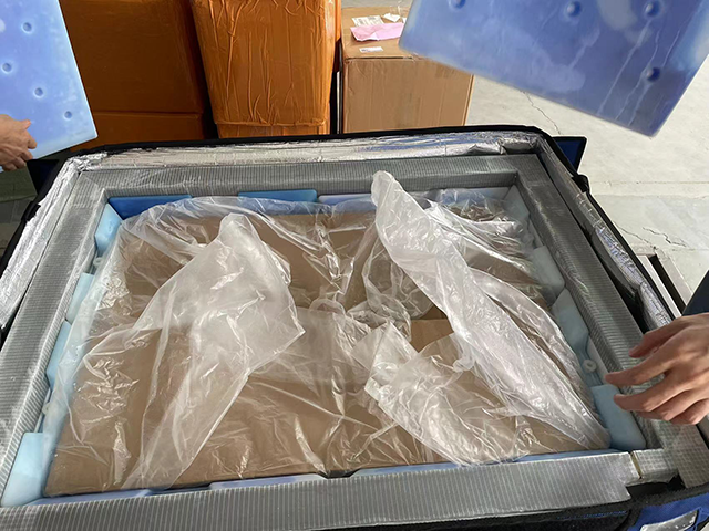 广州临床医药冷链空运市场规模 欢迎来电 广州市急达物流供应;