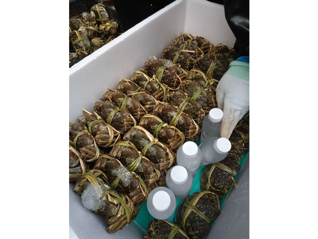 廣州加急國際特貨空運運費 來電咨詢 廣州市急達物流供應(yīng)