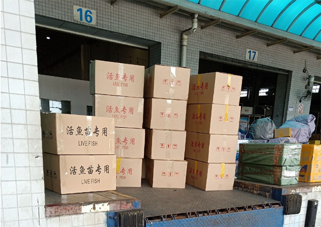 中亚精密仪器国际特货空运物流联系方式,国际特货空运