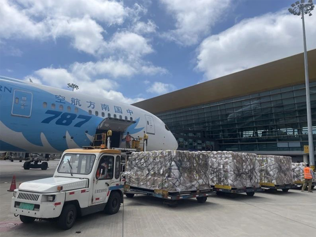 揭陽溫控貨物空運