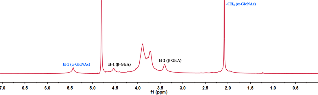 H-NMR spectrum of K5 polysaccharide