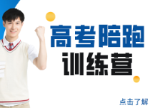 高考陪跑訓(xùn)練營