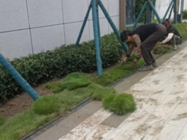 嘉定區(qū)質(zhì)量綠化工程施工怎么樣