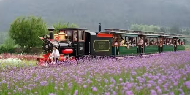 中國澳門景點爬山小火車設(shè)計公司 浙江中特軌道交通裝備集團(tuán)供應(yīng)