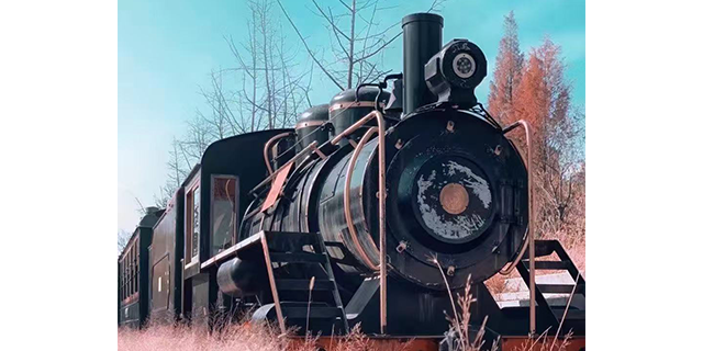 上海網(wǎng)紅軌道爬山小火車(chē)公司 浙江中特軌道交通裝備集團(tuán)供應(yīng)