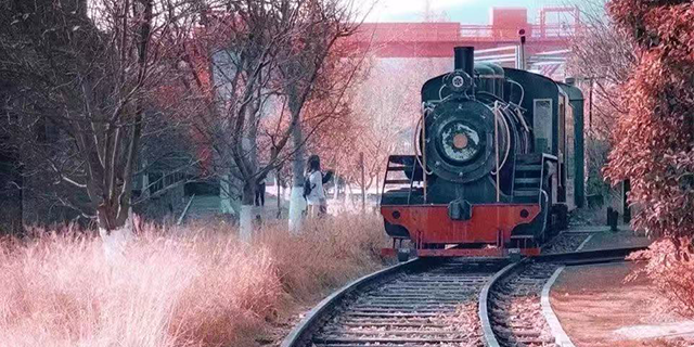 湖南齒軌爬坡小火車公司 浙江中特軌道交通裝備集團供應(yīng)