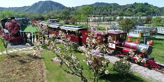 中國香港旅游爬坡小火車哪家好 浙江中特軌道交通裝備集團(tuán)供應(yīng)