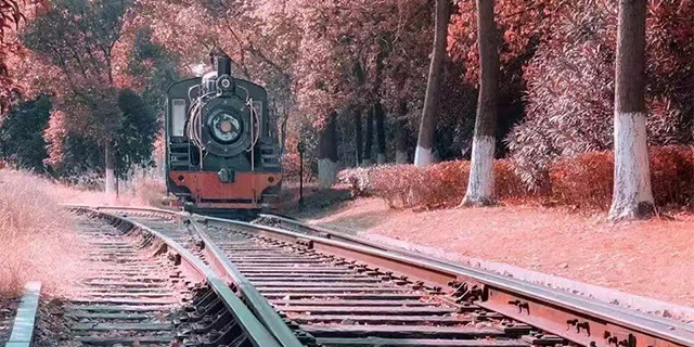 河北稻田軌道小火車生產廠家在哪里 浙江中特軌道交通裝備集團供應