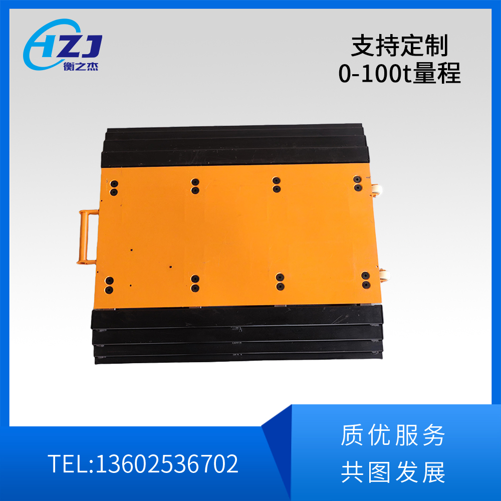 支持定制0-100t量程