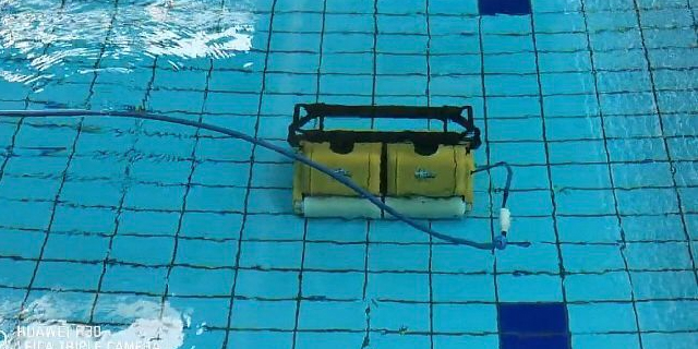 福建小型泳池吸污機吸力不夠 廣州泳貓科技供應