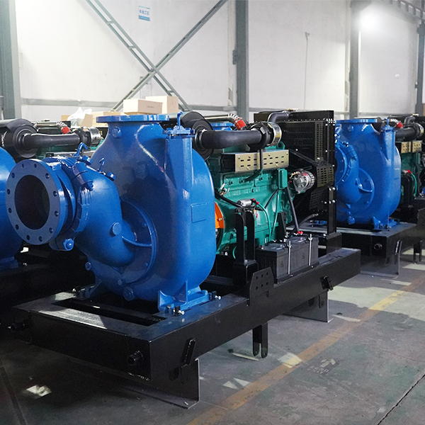 泰国寺庙10台10寸抢险泵