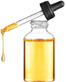 護(hù)唇產(chǎn)品—參靈精萃護(hù)唇油