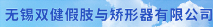 冰島奧索普歐仿生智能腳2