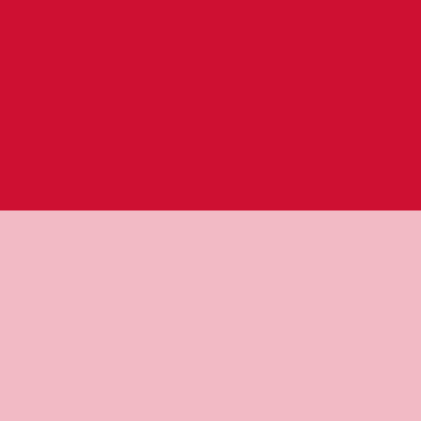 永固紅F7RK4266