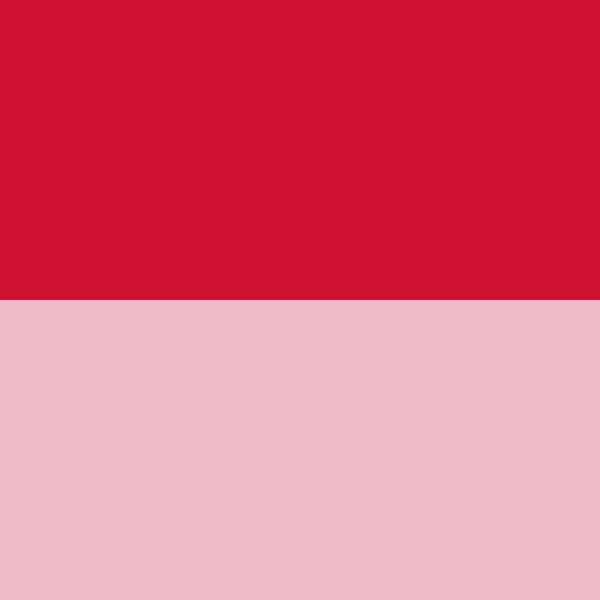永固紅F7RK4266
