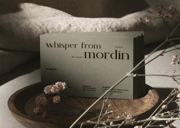 VI設(shè)計(jì),VI設(shè)計(jì)是什么以及包含哪些內(nèi)容？