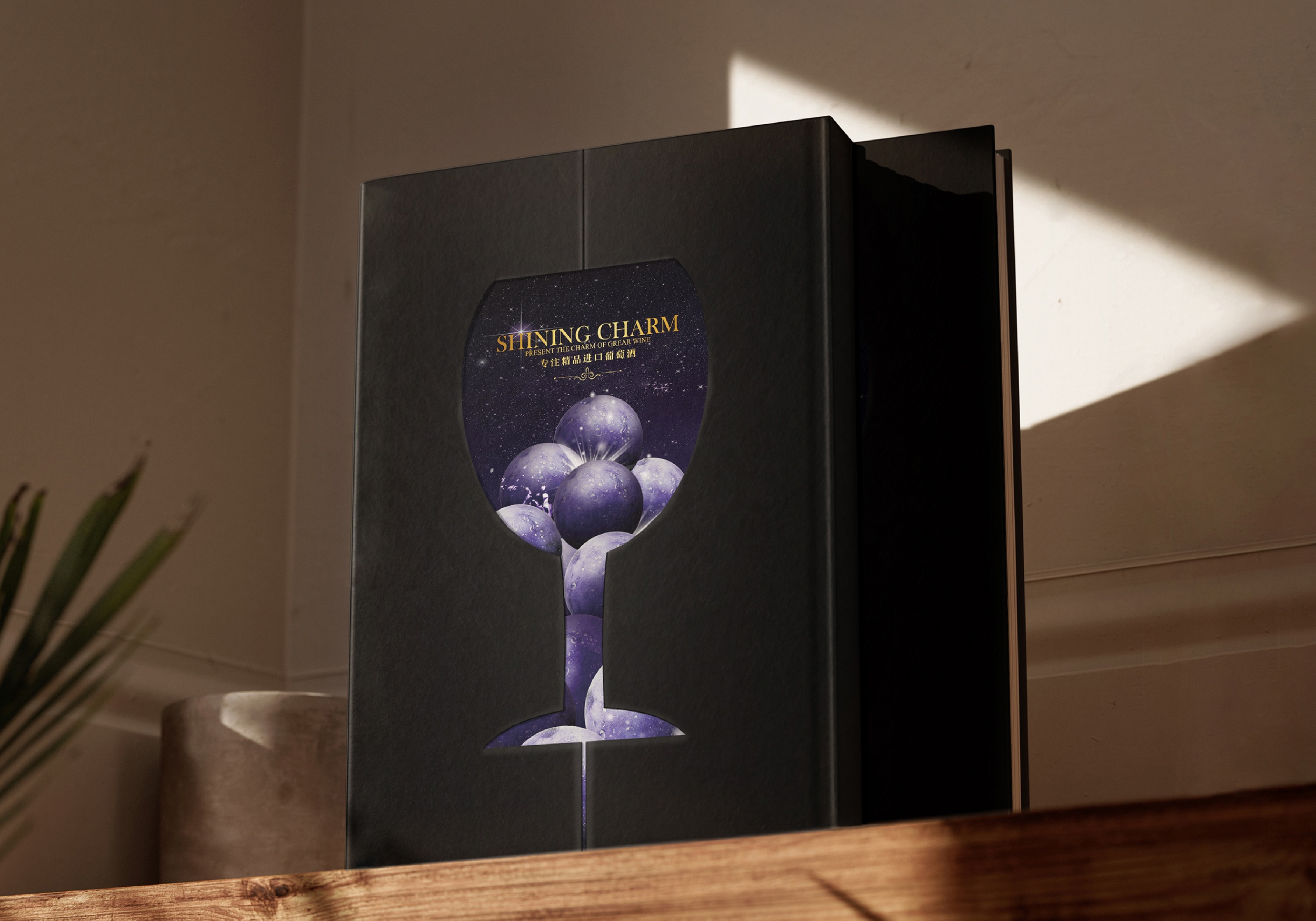 廣州璀創(chuàng)產(chǎn)品 I 畫冊(cè)設(shè)計(jì)