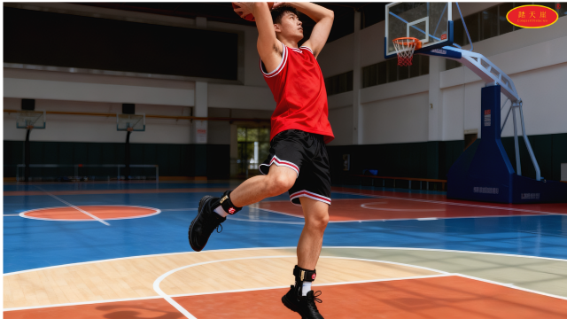 广西比较好的助踝器加盟 诚信经营 广州踏天崖科技供应