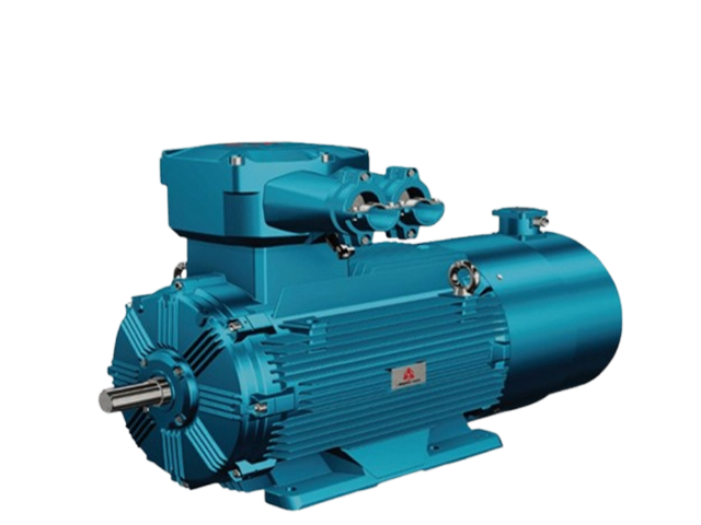 WE系列水冷電動(dòng)機(jī)樣本 值得信賴 江蘇蘇瑞電氣技術(shù)供應(yīng)