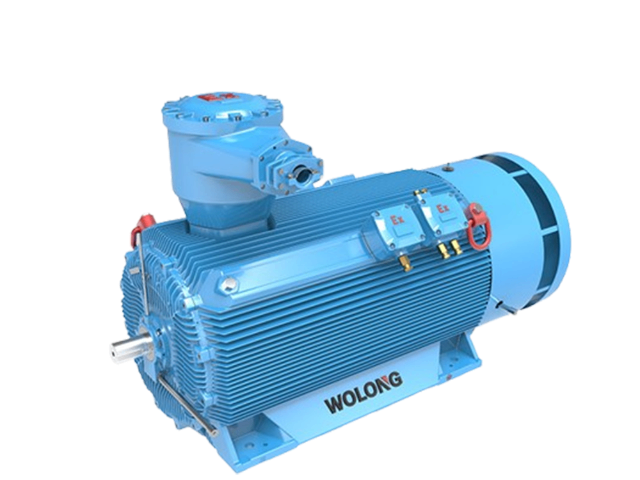 WE系列非防爆電動(dòng)機(jī)維保 歡迎來電 江蘇蘇瑞電氣技術(shù)供應(yīng)