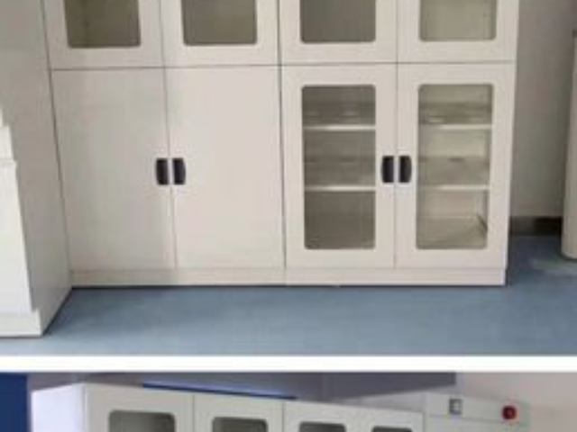 浙江玻璃門器皿柜定制 真誠推薦 杭州凡迪實(shí)驗(yàn)設(shè)備供應(yīng)