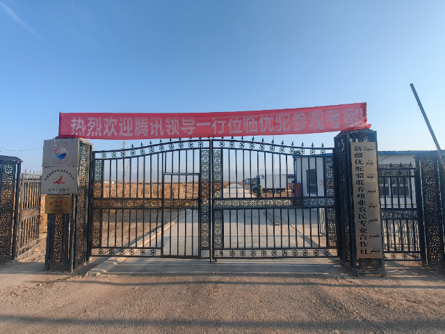 江苏数字化运营战略咨询魔声咨询跨境电商品牌出海咨询公司 魔声咨询供应