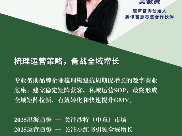 江苏数字化运营战略咨询魔声咨询跨境电商品牌出海咨询公司,魔声咨询
