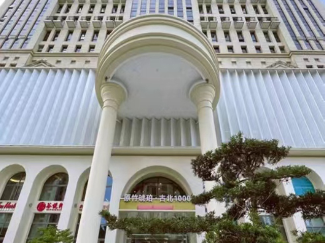 福建运营战略咨询专业人员魔声咨询本地化与全球化平衡策略 魔声咨询供应