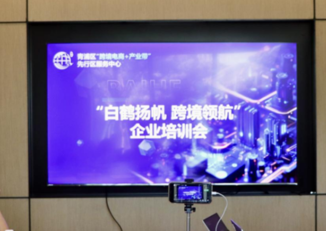 廣西什么是虹橋跨境電商 產(chǎn)業(yè)帶政企服務(wù)平臺公司 魔聲咨詢(xún)供應