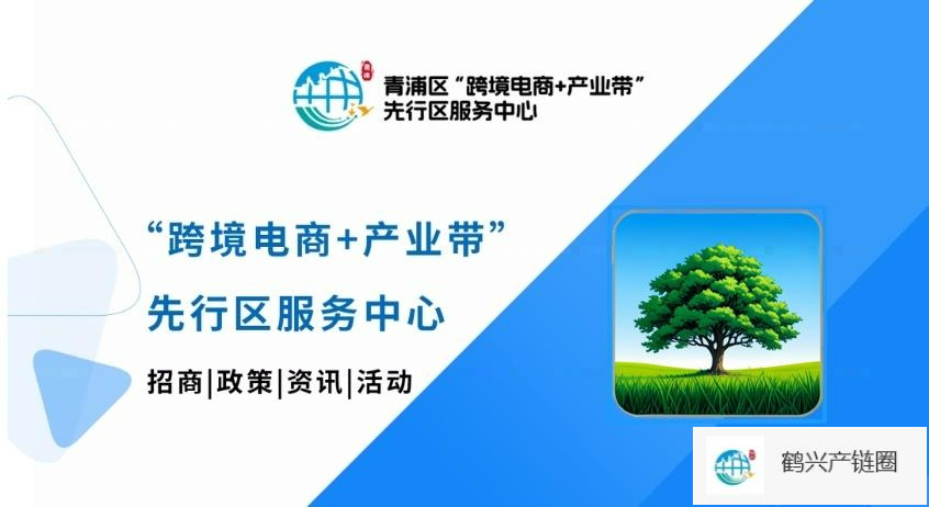 江苏一站式大虹桥如何护航中资企业高质量出海流程