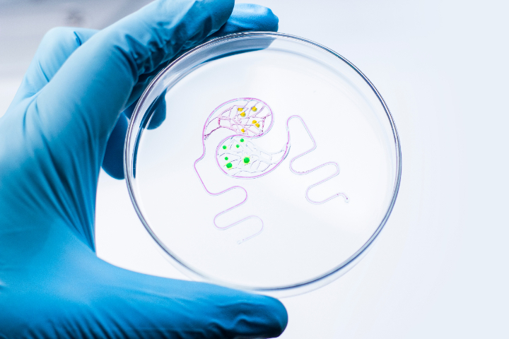 北京3D生物打印機BIO X6 歡迎來電 上海跡亞國際商貿(mào)供應(yīng)