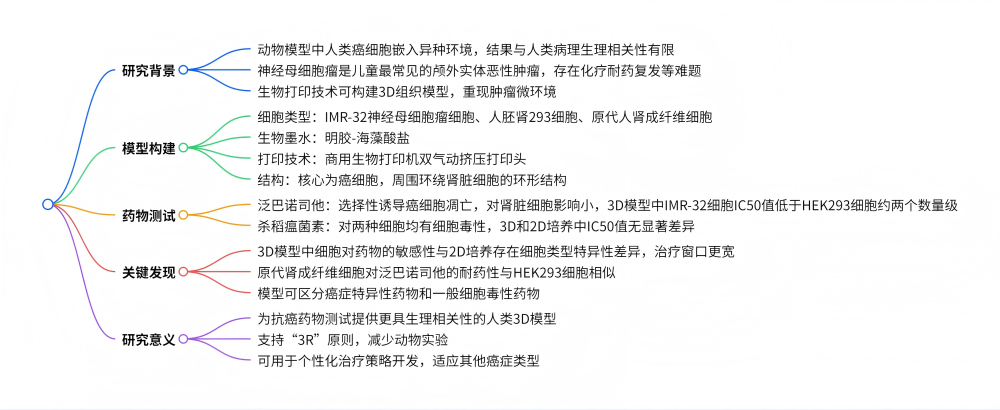 腎臟微環境中生物打印神經母細胞瘤**模型