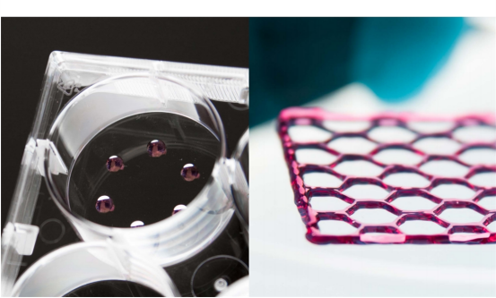 from clipboard