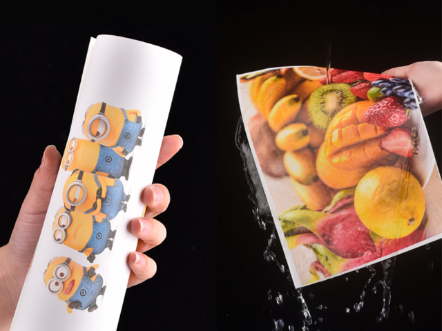 湛江易碎紙不干膠材料怎么收費,不干膠材料