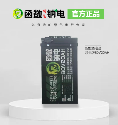 函數(shù)傳藝鈉離子電池 60V20AH