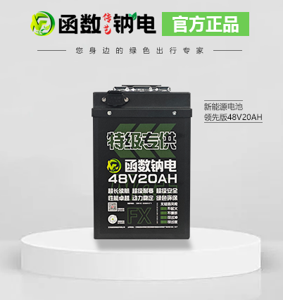 函數(shù)傳藝鈉離子電池 48V20AH