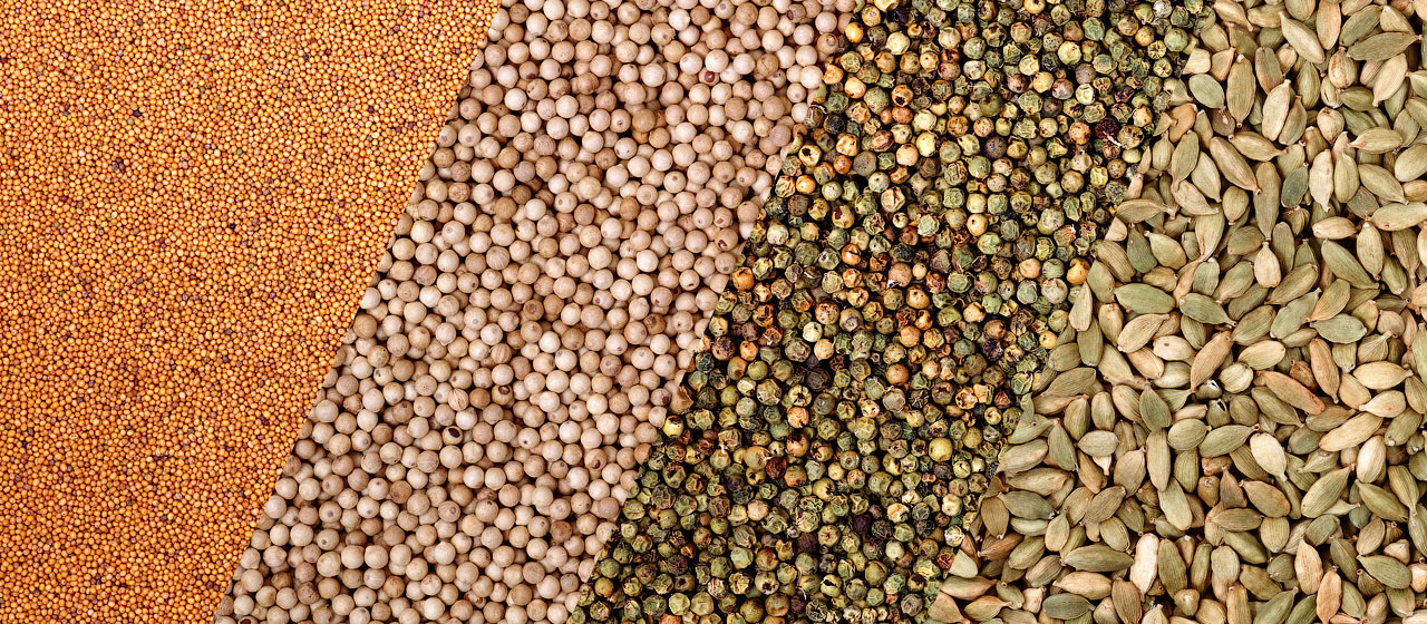 生飼料和加工飼料的凈化