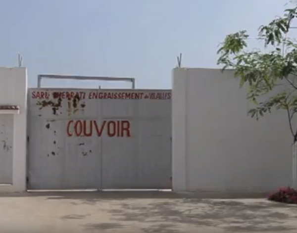 家禽養(yǎng)殖的一些陽極應(yīng)用（阿爾及利亞）