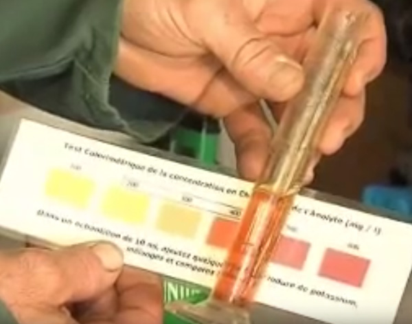 法國的家禽養(yǎng)殖場(chǎng)