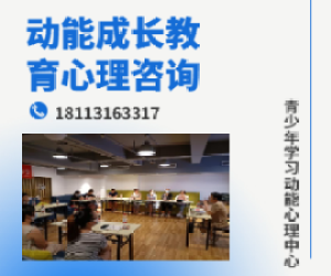 学习动能心理咨询