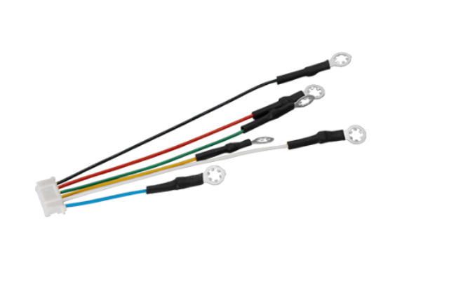 深圳RoHS端子線組件 深圳市金豐盛電子供應(yīng)