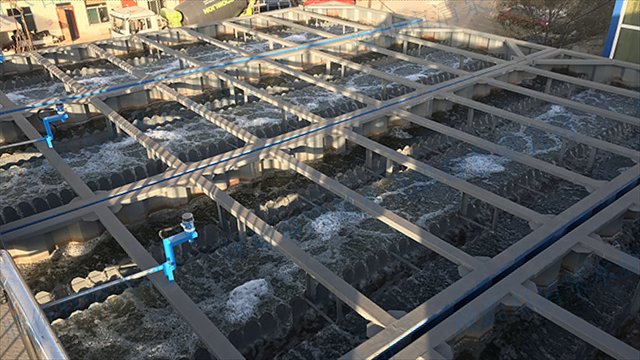 广西靠谱曝气生物滤池工厂,曝气生物滤池
