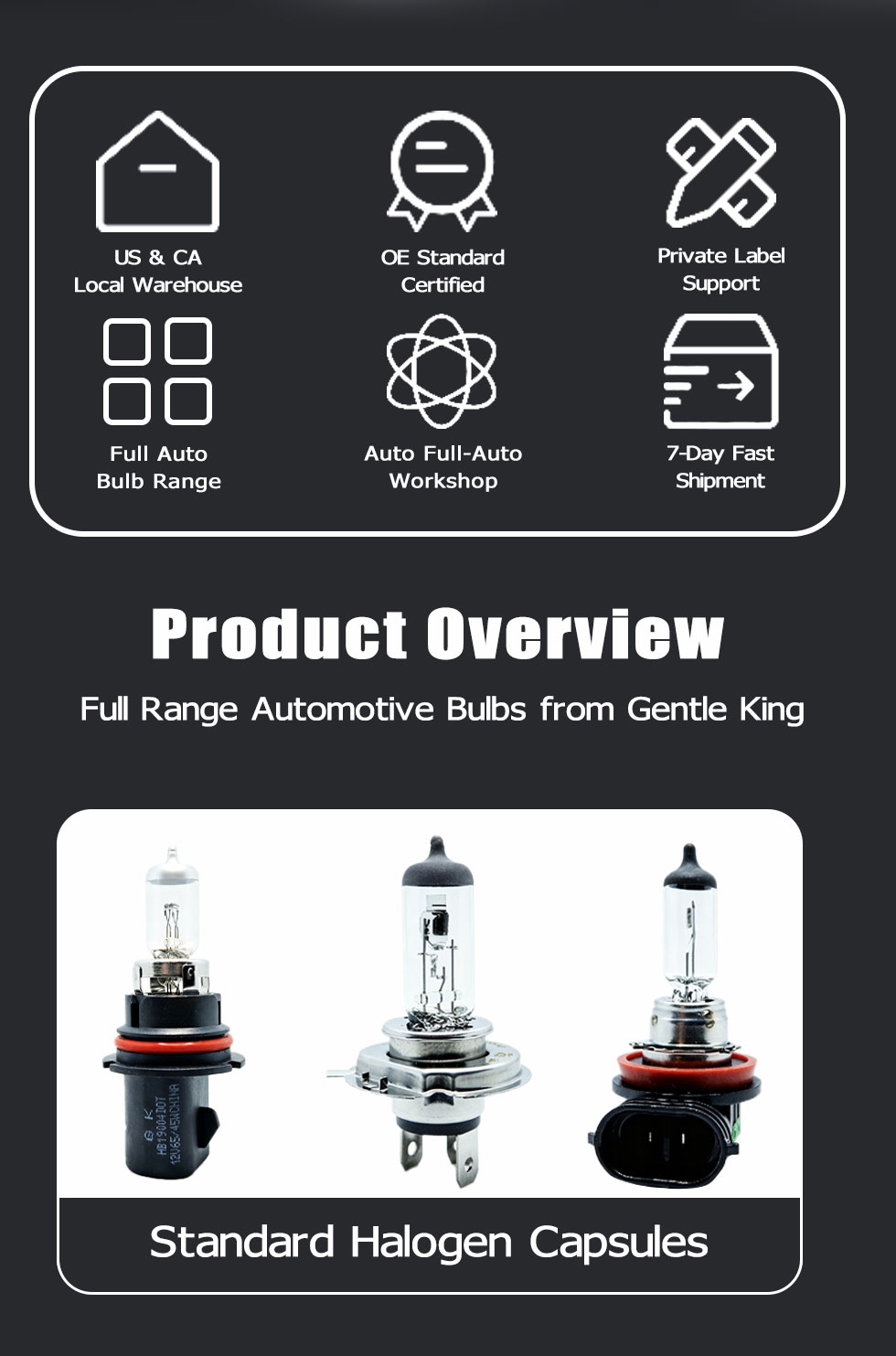 H1 70W 24V Halogen Headlight Bulb, Gentle King Automotive Replacement Lamp