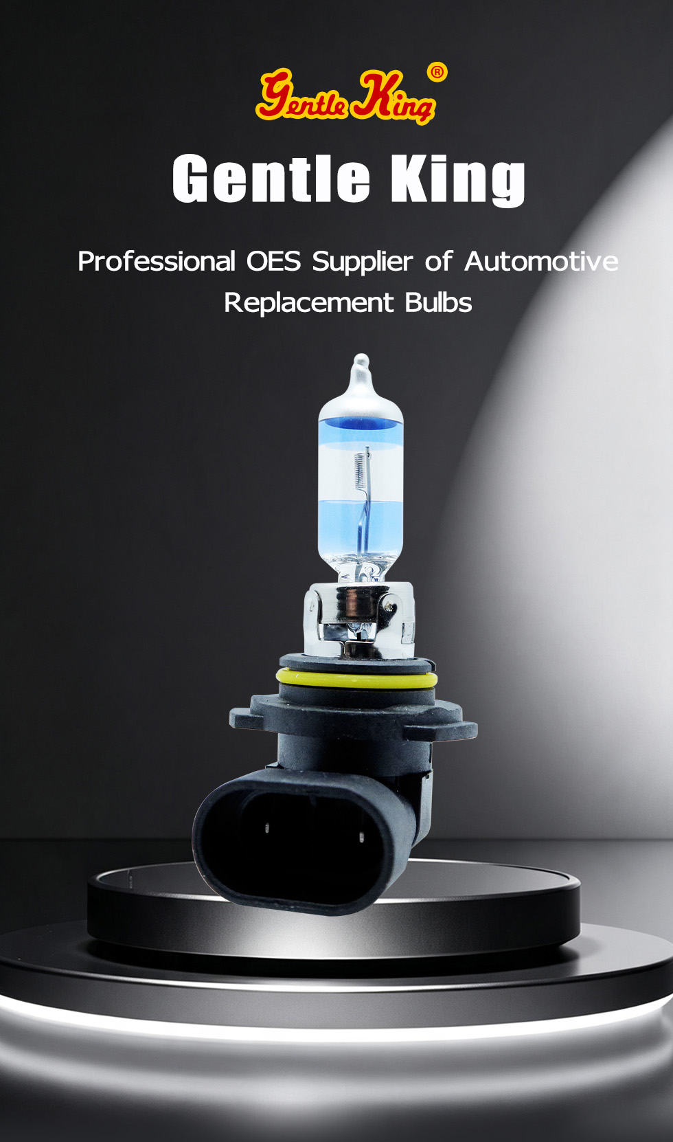 HL249006D2 Automotive Replacement Bulb