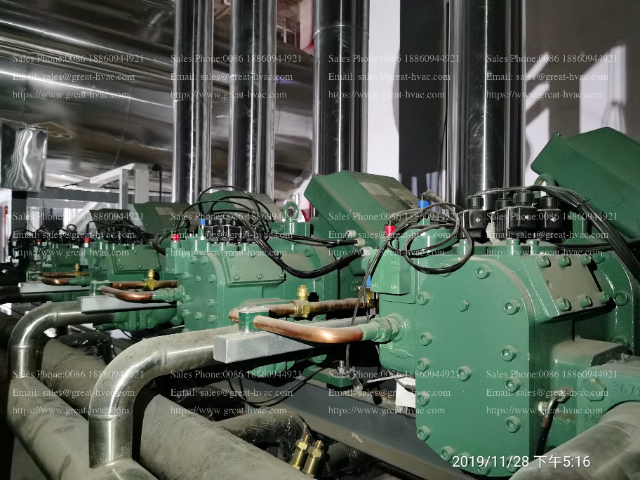 吉林能源碳捕捉與封存比澤爾并聯(lián)螺桿壓縮機R507 宿遷碧諾環(huán)?？萍脊?yīng)