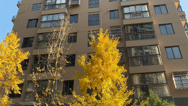 諸暨無憂外墻維修裝飾 創(chuàng)新服務(wù) 杭州藍(lán)盾建筑科技供應(yīng);